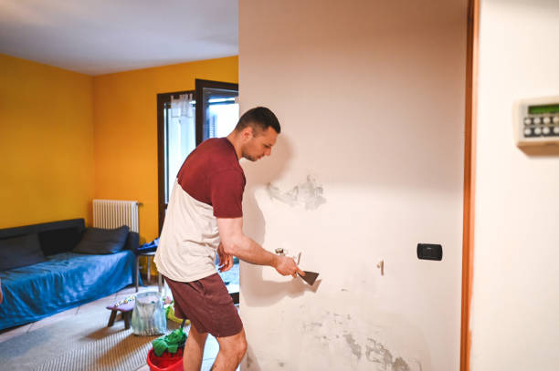 Best Mold Testing and Inspection Services in La Crescenta Montrose, CA